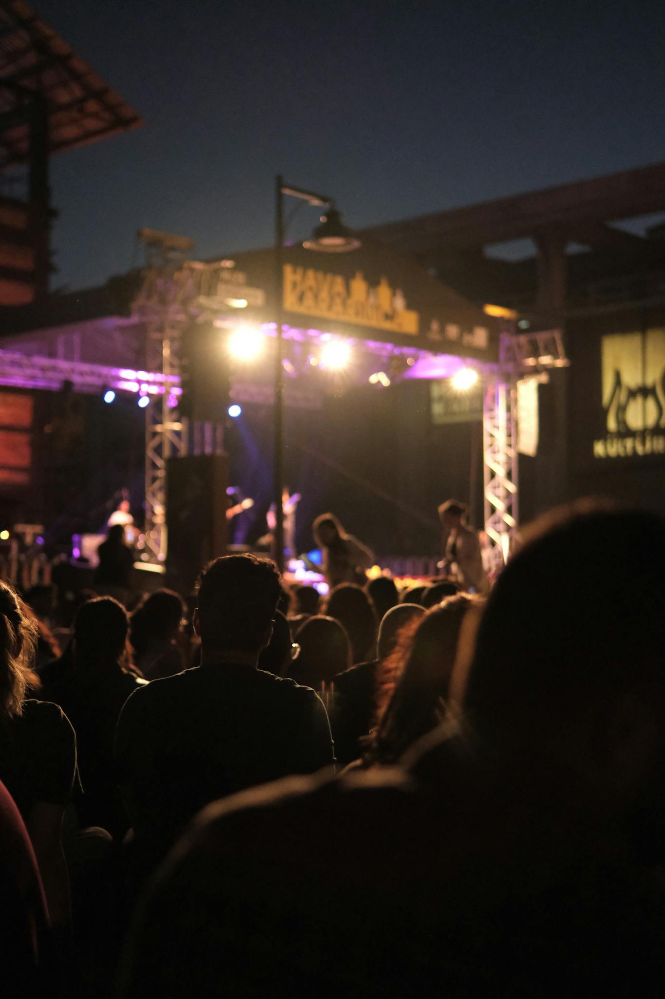 The Essentials of Blogging: Tips and Strategies for Success Silhouetted crowd enjoying an outdoor concert under vibrant stage lights at night.